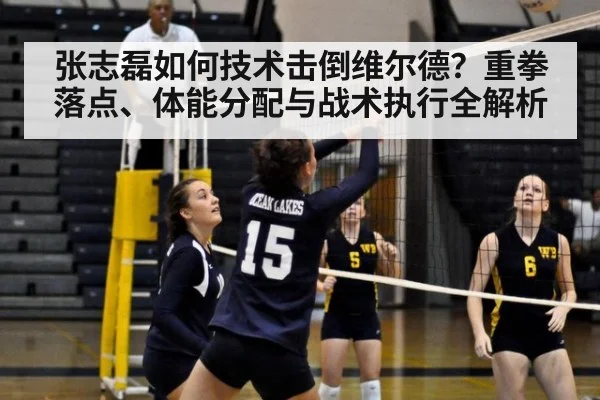 张志磊如何技术击倒维尔德？重拳落点、体能分配与战术执行全解析