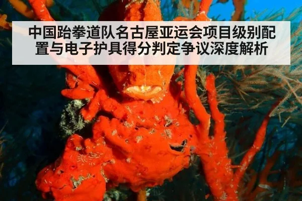 中国跆拳道队名古屋亚运会项目级别配置与电子护具得分判定争议深度解析